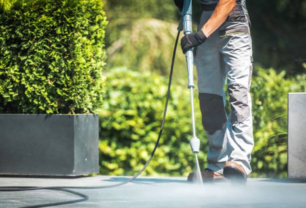 Best House Exterior Washing  in Inglis, FL